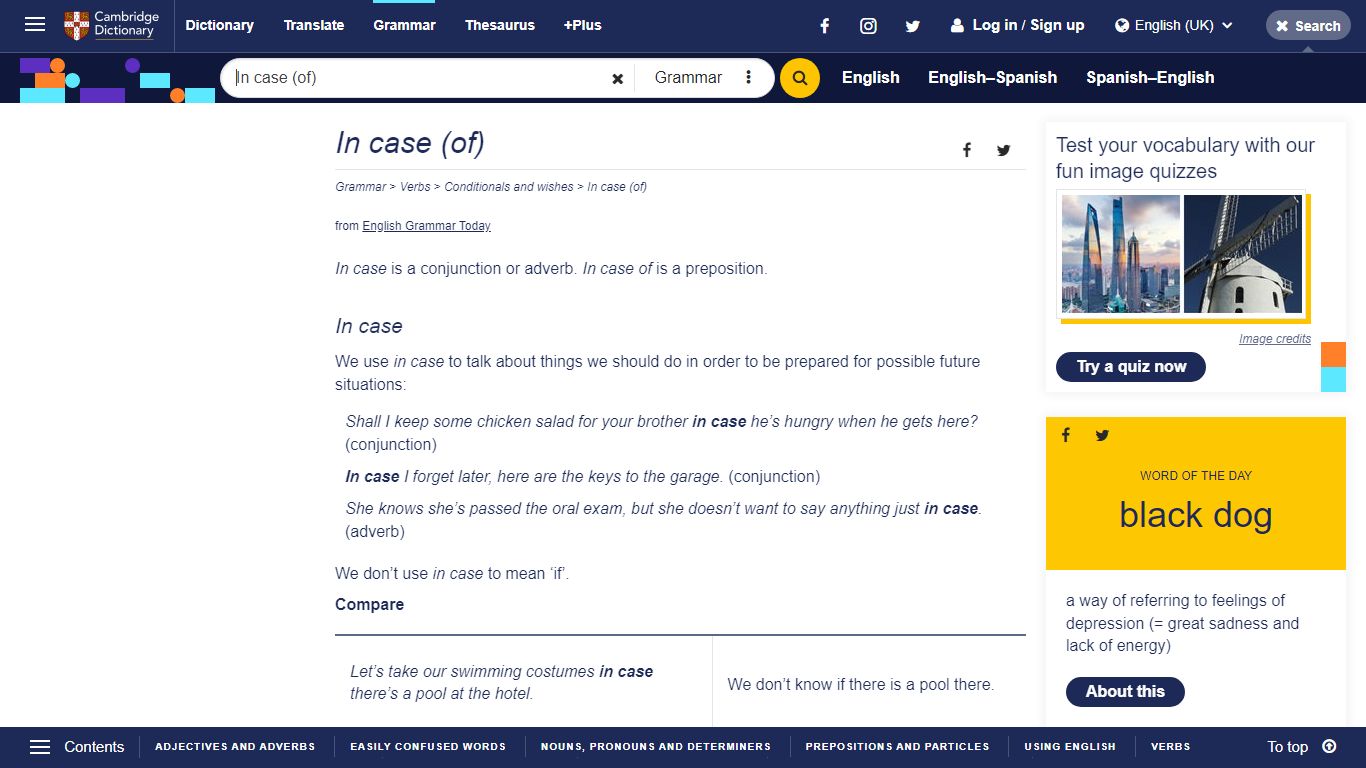 In case (of) - English Grammar Today - Cambridge Dictionary